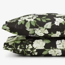 New The Company Store Legends Black Blooming Flowers  Sateen King Pillowcase Set