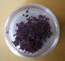 Supernail Purple pieces flakes  12 count Nail...