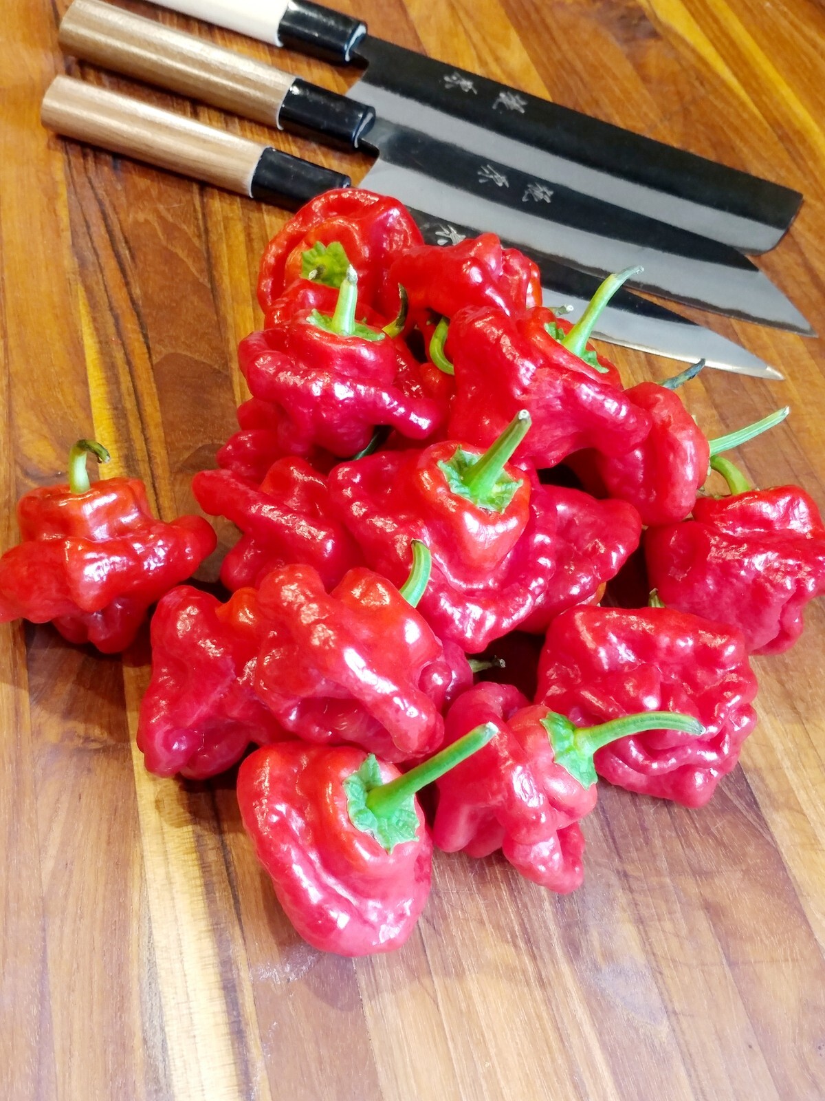JAMAICAN MUSHROOM PEPPER AUTHENTIC 12 SUPER HOT PREMIUM PEPPER SEEDS
