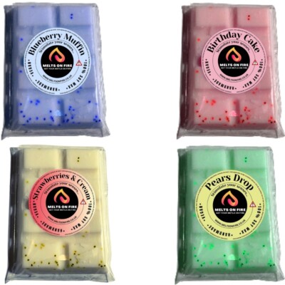 4 x Wax Melts Handmade Riegel stark duftend 25g Fruchtdüfte vegan