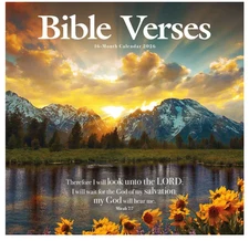 Bible Verses: 12 X 12 Wall by Carousel Worldwide (English)
