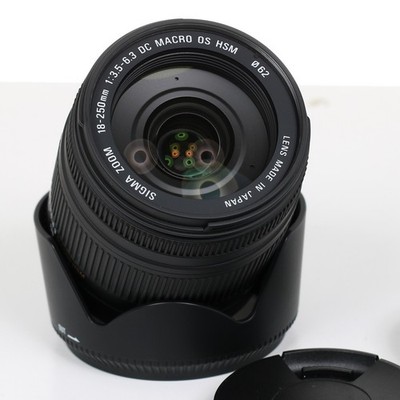 Sigma 18-250mm 3.5-6.3 Macro OS HSM Nikon F Reiseobjektiv mit Bildstabilisator