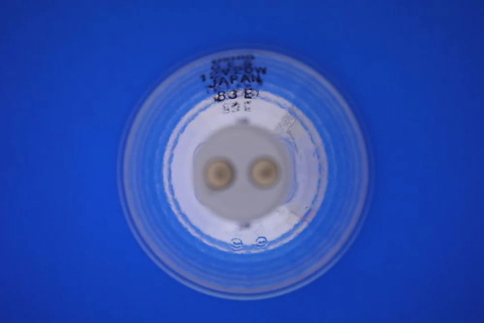 USHIO GES/FG 12V 20W Halogen Display Lamp Projector Bulb - Image 4 of 4