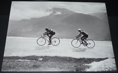 Les livres indispensables du Tour de France à découvrir - One Media
