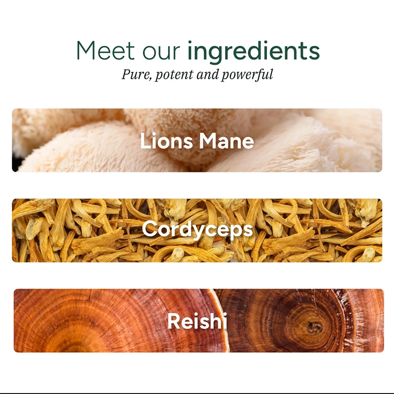 Root Labs 10 em 1 Alpha Shilajit Gummies – 4000mg Himalayan Shilajit – 120 Gummy - Imagem 3 de 4