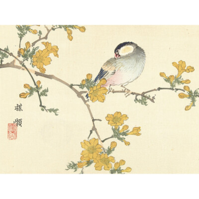 Kono Bairei Singvogel auf blühendem Ast Leinwand Wandbild Kunstdruck Poster