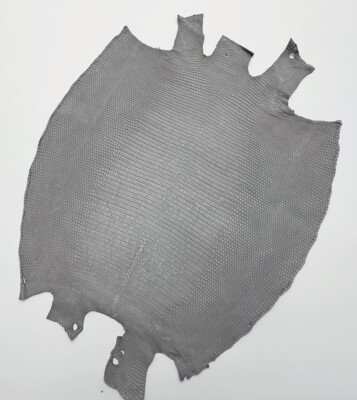 Lizard Skin Leather Rustic Lighty Gray Color (100% Genuine skin | eBay