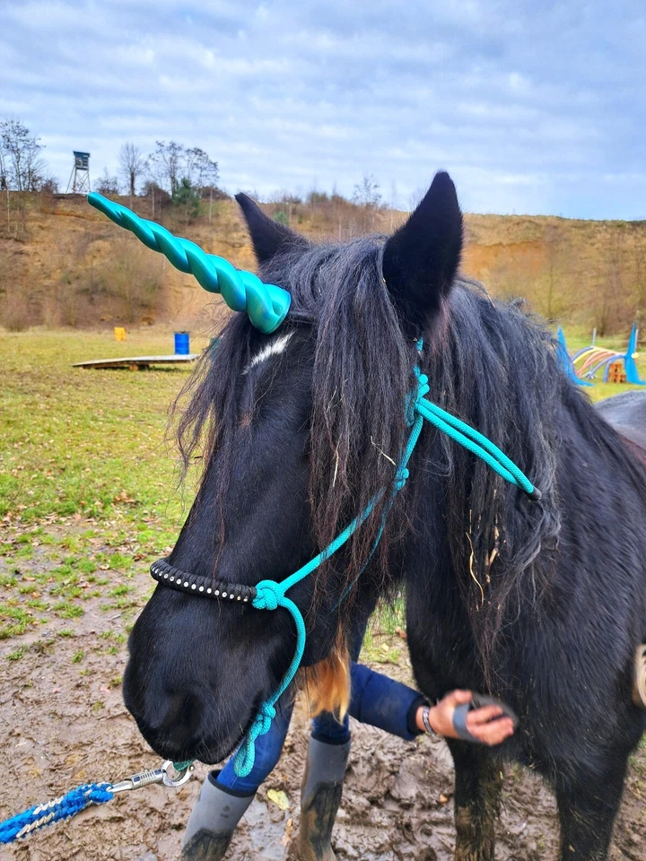 Einhorn für Stirnriemen Unicorn MagicEinhorn Pferdezubehör Ponyzubehör - Bild 2 von 4