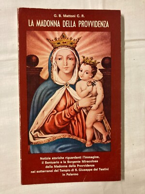 Die Madonna der Vorsehung G. B. Ziegel