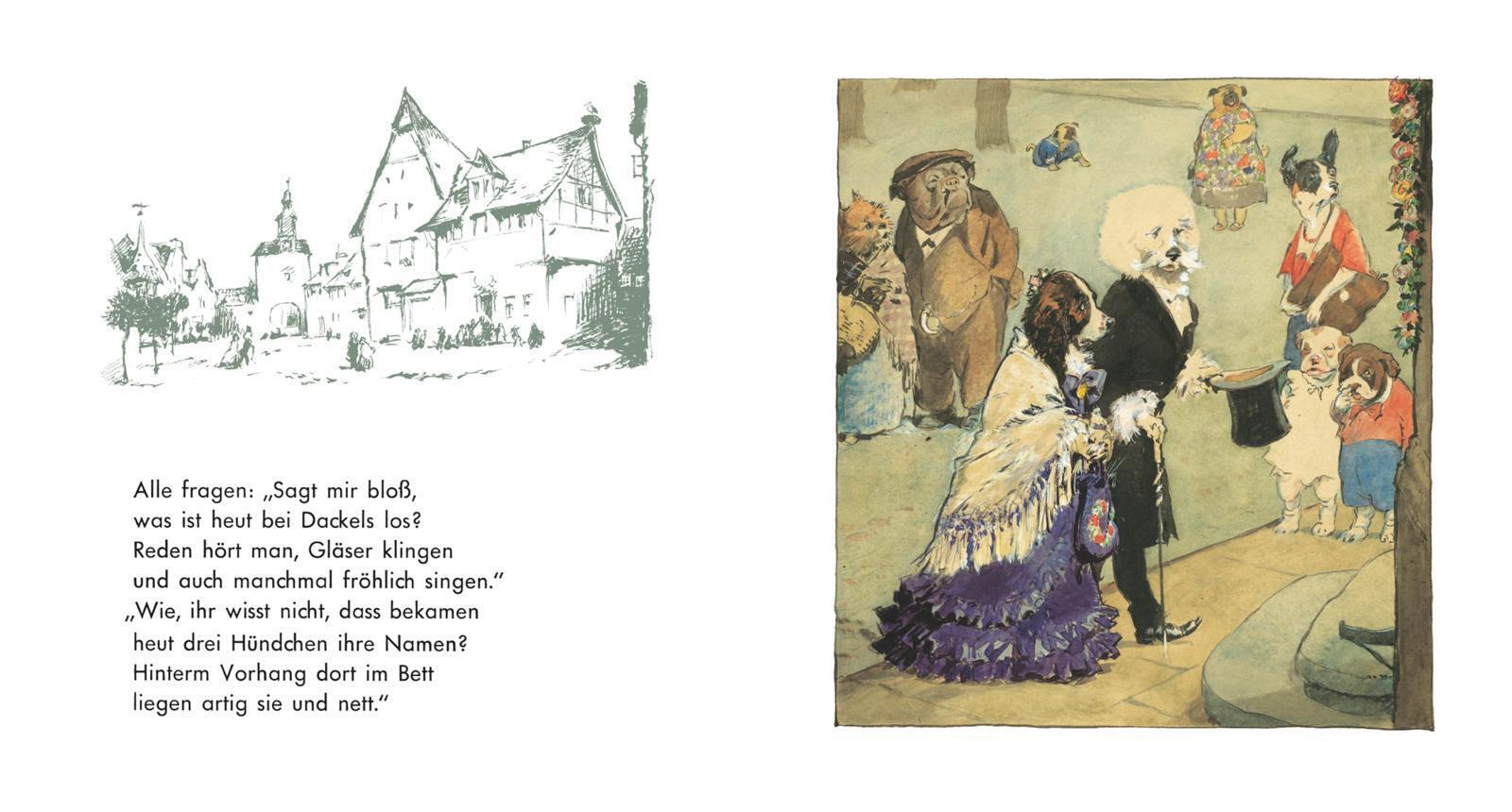 Thumbnail - Waldi | Ein Lustiges Dackelbuch | Fritz Koch-gotha (u. A.) | Buch |