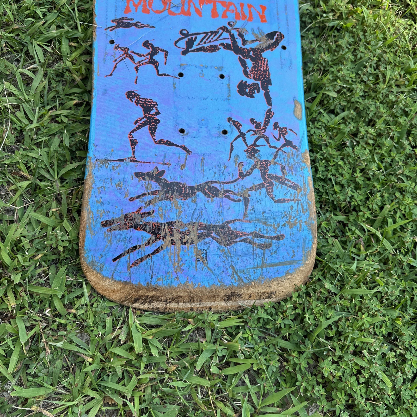 Picture 13 of 21