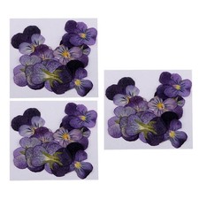 36 Stck. Nat&uuml;rliche Violette Echte Trockenblumen Verzierungen Zum Basteln Zum Selbermachen Nail Art