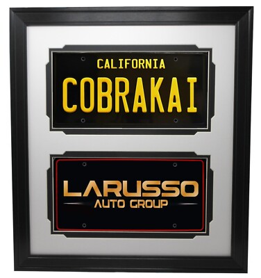 TWO LICENSE PLATES (NOT INCLUDED) WALL DISPLAY PICTURE FRAME Made in USA