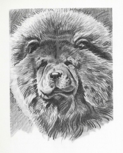 Chow Chow - CUSTOM MATTED - Vintage Dog Art Print - 1946 Dennis