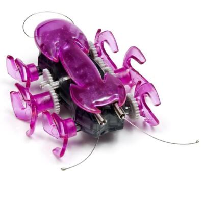 Hexbug Pink Ant Micro Robotic Creature Hex Bug