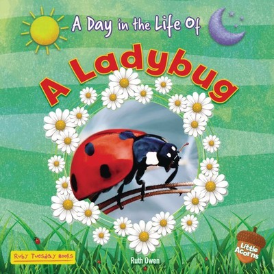 Ladybug, Paperback by Owen, Ruth, Brand New, Free shipping in the US