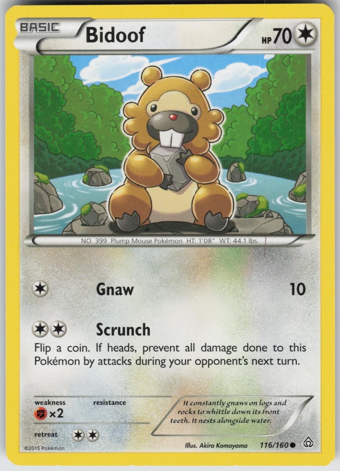 Bidoof 116/160 Primal Clash Pokemon TCG Near Mint