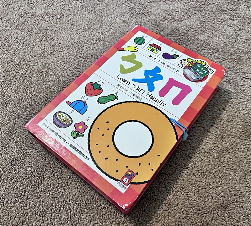 Chinese Pinyin Magnetic Letter Tile Learning Set with Storage Case