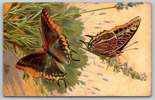 Charaxes Jasius Butterfly Illustration Postcard - Colorful Nature Scene
