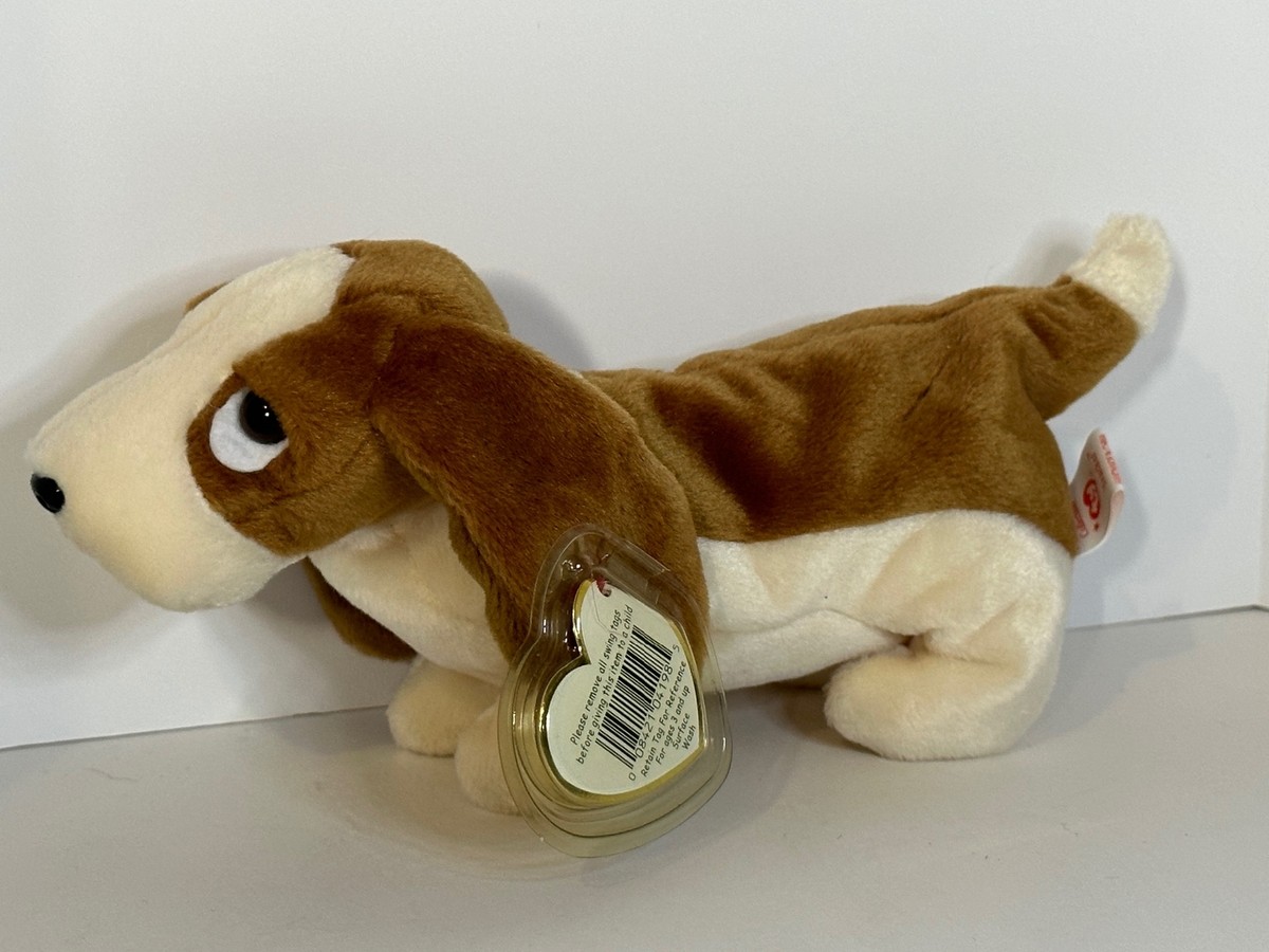 Basset Hound Droopy Elvis Smokey Bandit Foofur Stella Toby Tracker