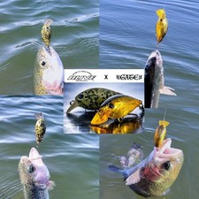 Medium crappie GS2 DRIVE×GATE collaboration Haraori Hara color