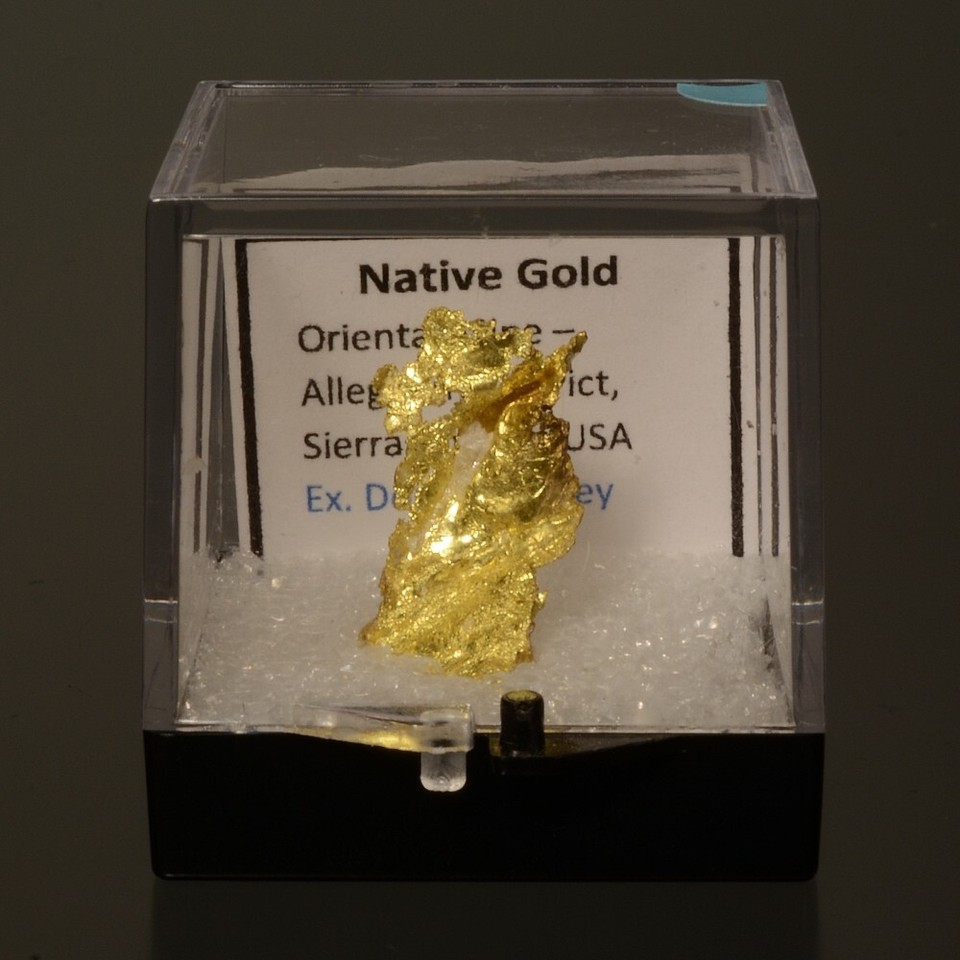 Crystallized Native Gold Collector Mineral Specimen - Oriental Mine, CA ...