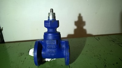 ARI Euro Wedi Flansch Schieber Absperrschieber DN 25 PN 6 JL1040 o. Kopf