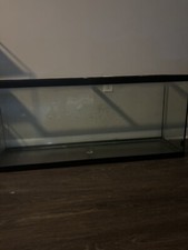 55 Gallon Aquarium