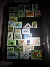 Insectes lot timbres sellos stamps timbres