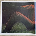 Carly Simon 1971 First Album Poster/Lyric Sheet Photo by Peter Simon EKS-74082 — photo 3
