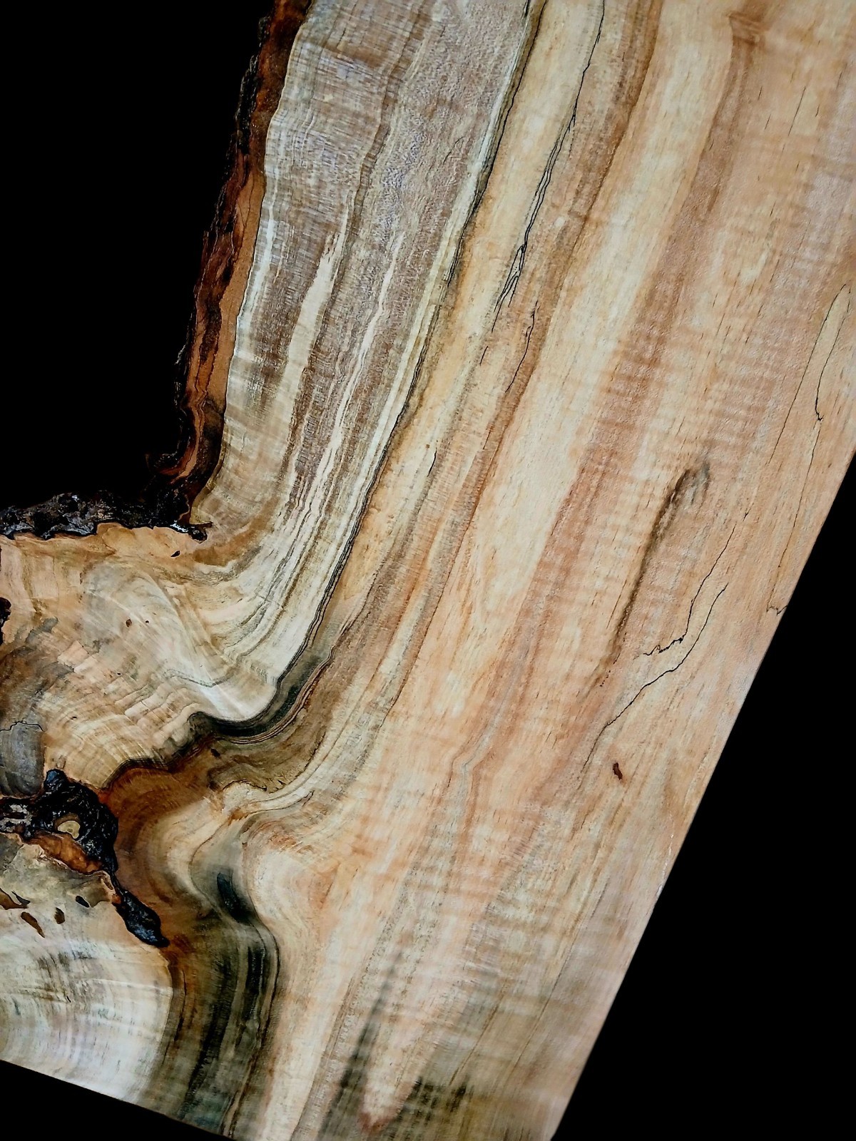 XXL MIND BLOWING Curly RED Maple Burl wood Slab EPOXY/STABILIZING/ Turning Wood