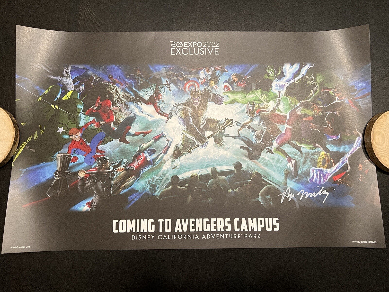 2022 Disney D23 Expo Avengers Campus Ride Concept Art Signed By Ryan ...