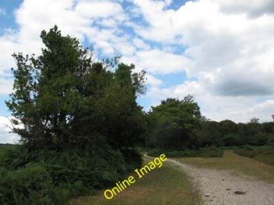 Foto 6x4 Wege am Rande von Stonard Wood Stoney Cross ein ebenes Stück g c2014