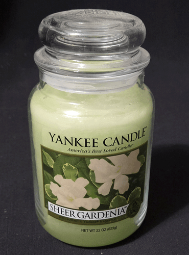 Yankee Candle Sheer Gardenia 22oz Large Jar Candle Housewarmer Neu