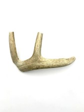Deer Antler Dog chews