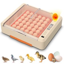 36 Egg Digital Incubator with Automatic Turner - for Hatching Chicken  Quail