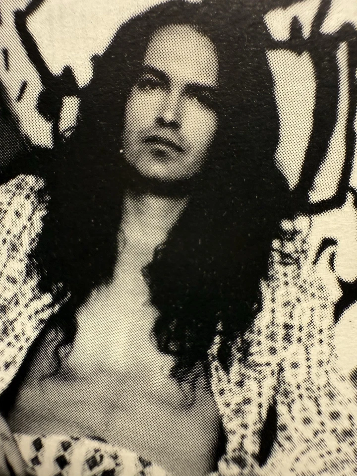 1994 MEAT PUPPETS TOO HIGH TO DIE ROCK CASSETTE PARADISE VALLEY ARIZONA - Image 4 of 4