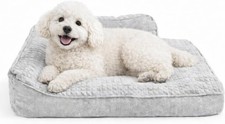 Dog Beds for Small Dogs, Puppy Cat Bed, Warm Cozy Calming Bed with