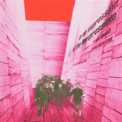 Blonde Redhead: In An Expression Of The Inexpressib - 375 Media  - (CD / I)