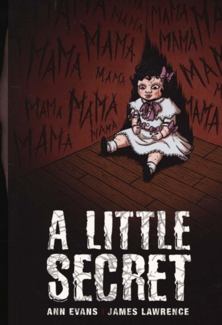 A Little Secret by Ann Evans (Paperback Book)