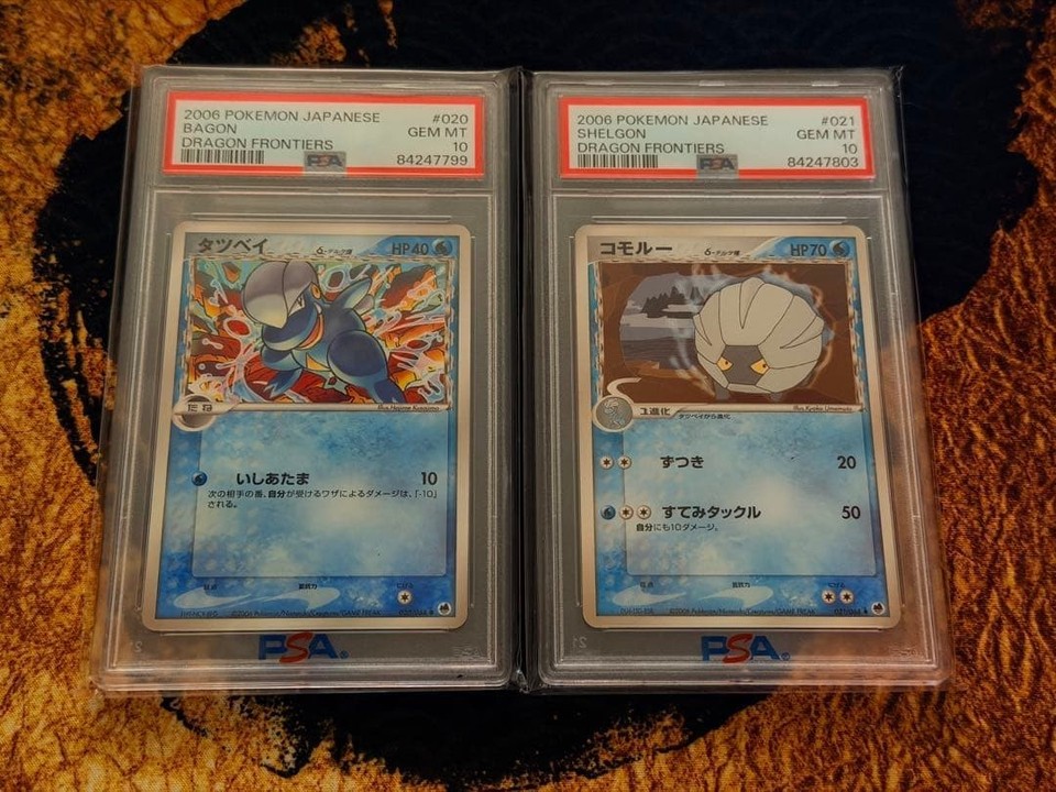 2006 PSA10 Bagon Shelgon Delta Species Evolution Line Set | eBay UK