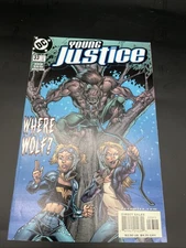 Young Justice #33 Peter David (DC2001)