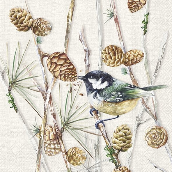 4 x Paper Napkins/3Ply/33cm/Decoupage/Autumn/Bird on a Branch/Pinecones