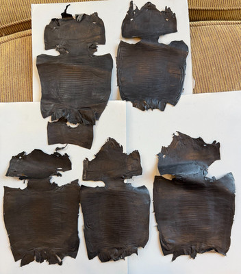 Teju Lizard Skin leather Hide Black Matte Finish Lot of 5 Grade B+