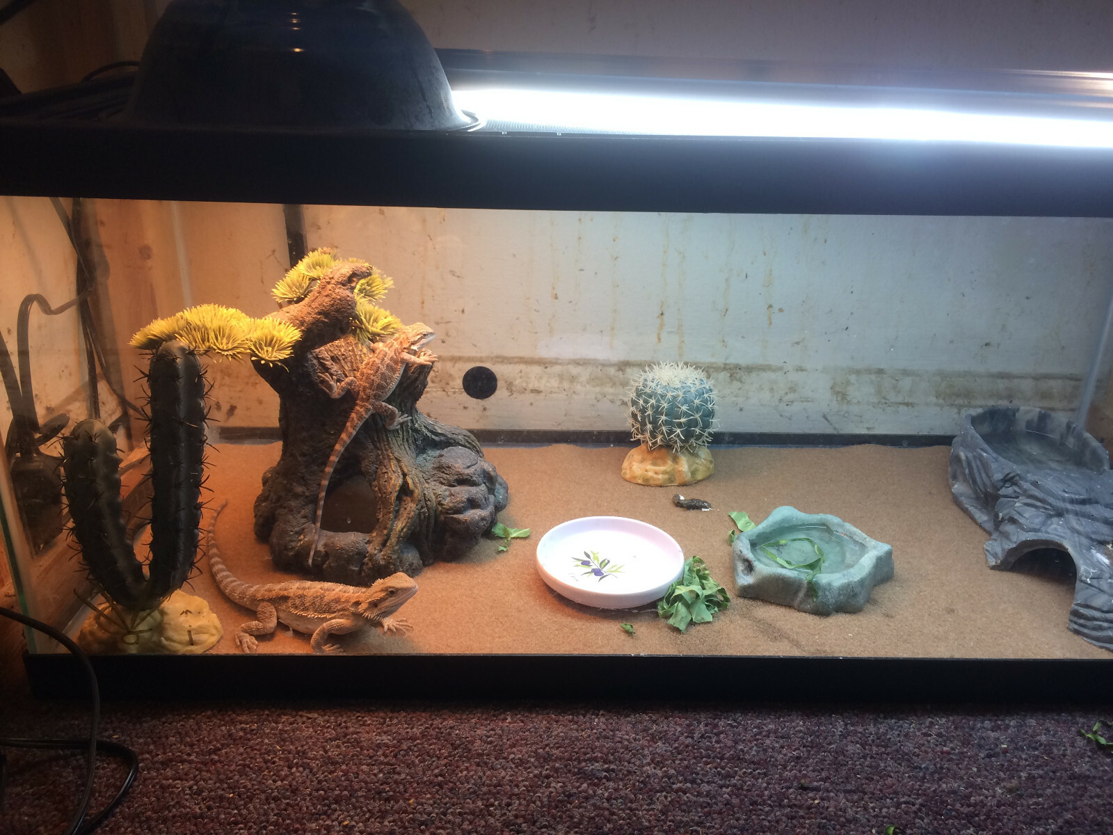 Picture 1 of 5