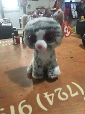 Ty Beanie BABY- KIKI THE CAT 6"NEW