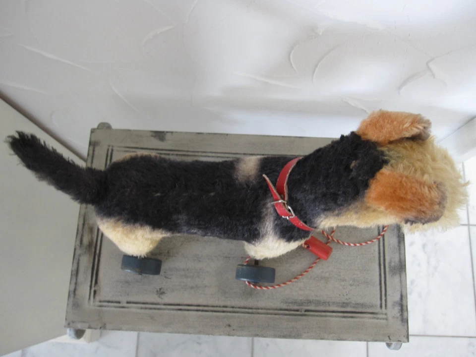 Steiff Terry auf Räder - Bild 4 von 4