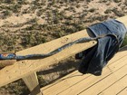 Youth bull rope right handed American rope — photo 2