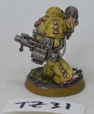 Warhammer 40k, Death Guard, Nurgle, Plague Marine, #TZ31 | eBay