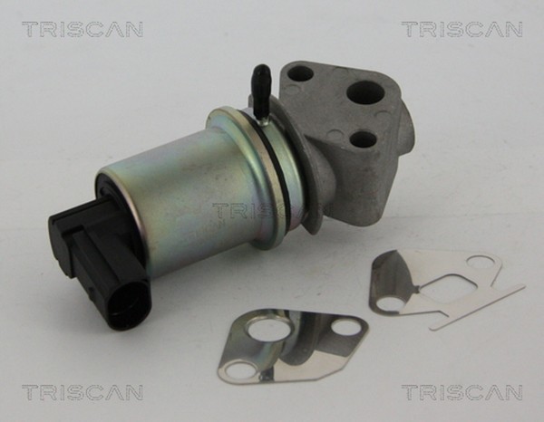 Triscan AGR Ventil 8813 29044 FüR Seat Fabia VW Ibiza 6L2 Skoda 6L1 Cordoba Polo-image